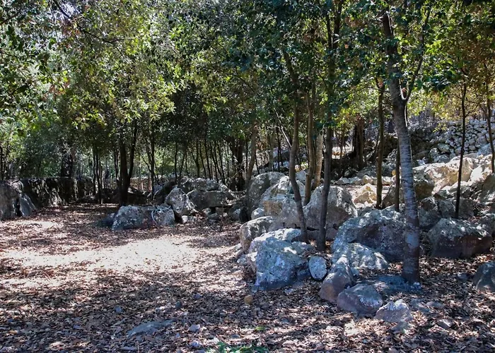 Plomera Villa Pollença