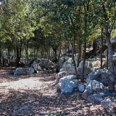 Plomera וילה פוינסה