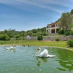Plomera Pollença