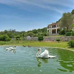 Plomera Villa
