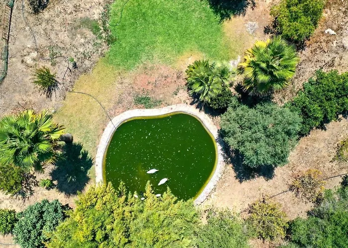 Villa Plomera Pollença